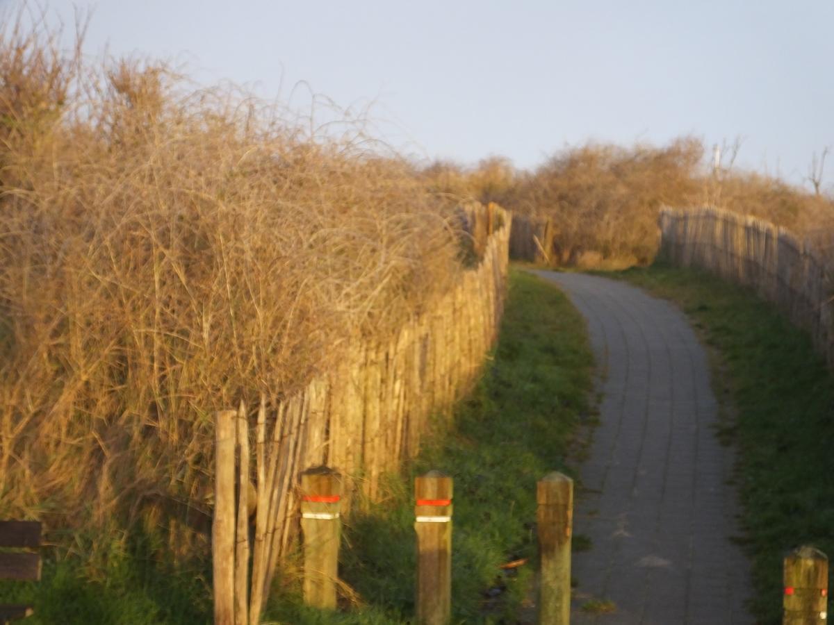 Mariakerke  Sable D'O -Vlak Aan De Zee- Bed & Breakfast エクステリア 写真