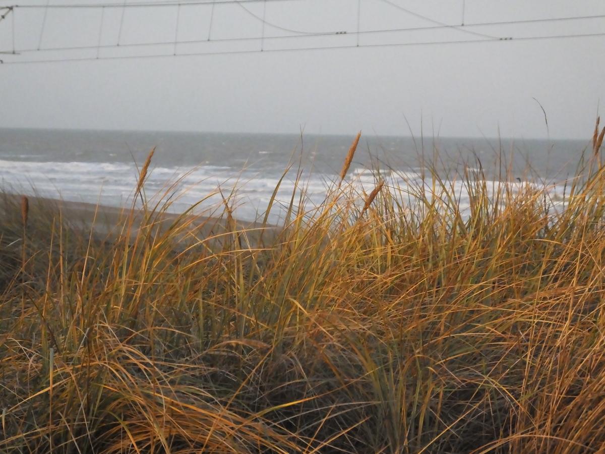 Mariakerke  Sable D'O -Vlak Aan De Zee- Bed & Breakfast エクステリア 写真